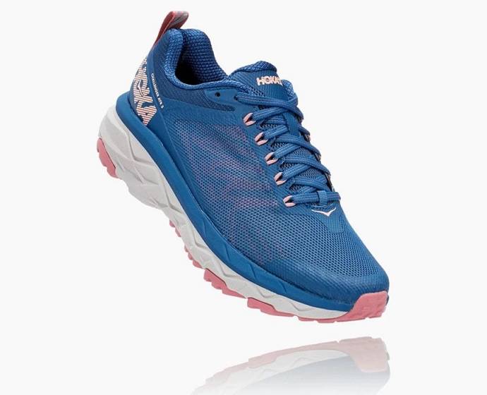 Tenis Para Correr En Carretera Hoka Challenger ATR 5 Mujer Azules Oscuro | Mexico-3920618