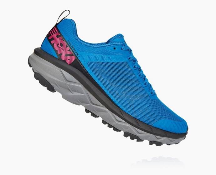 Tenis Para Correr En Carretera Hoka Challenger ATR 5 Mujer Azules | Mexico-6142903