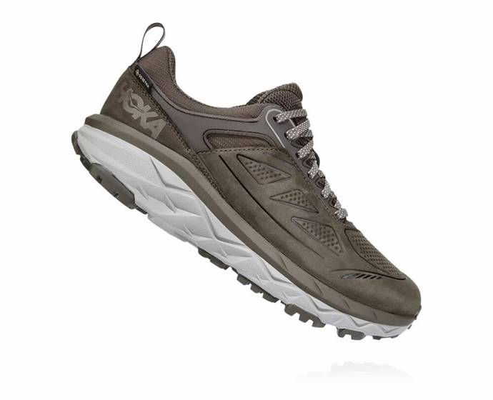 Tenis Para Correr Hoka Challenger Low GORE-TEX Hombre Marrom | Mexico-8376195