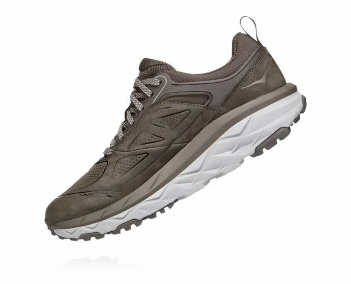 Tenis Para Correr Hoka Challenger Low GORE-TEX Hombre Marrom | Mexico-8376195