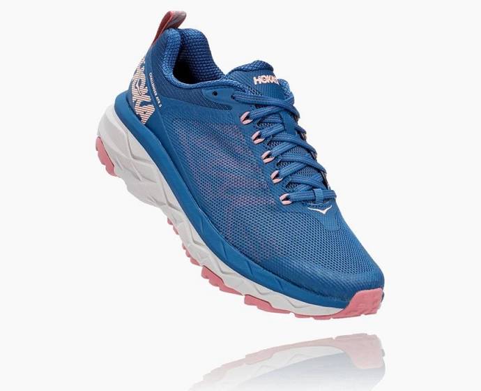 Tenis Para Trail Running Hoka Challenger ATR 5 Mujer Azules Oscuro | Mexico-3971520