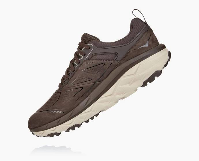 Tenis Para Trail Running Hoka Challenger Low GORE Hombre Cafes | Mexico-4315792