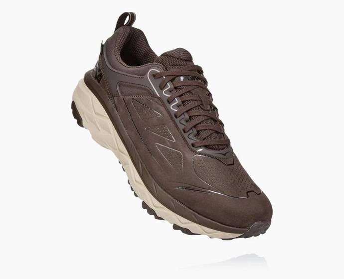 Tenis Para Trail Running Hoka Challenger Low GORE Hombre Cafes | Mexico-4315792