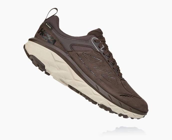 Tenis Para Trail Running Hoka Challenger Low GORE-TEX Anchos Hombre Cafes | Mexico-7261435