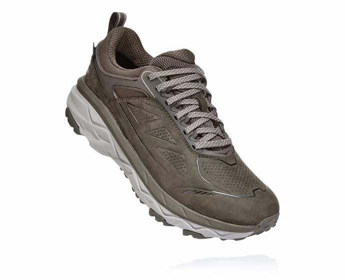 Tenis Senderismo Hoka Challenger Low GORE-TEX Mujer Marrom | Mexico-4212345