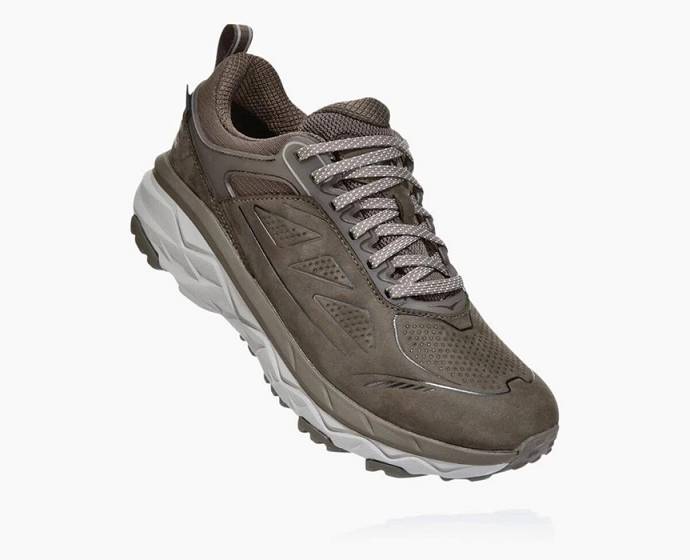 Tenis Senderismo Hoka Challenger Low GORE-TEX Mujer Marrom | Mexico-4798201