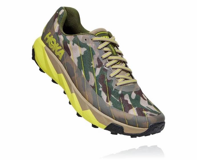 Tenis Para Trail Running Hoka Torrent Mujer Grises | Mexico-4175629